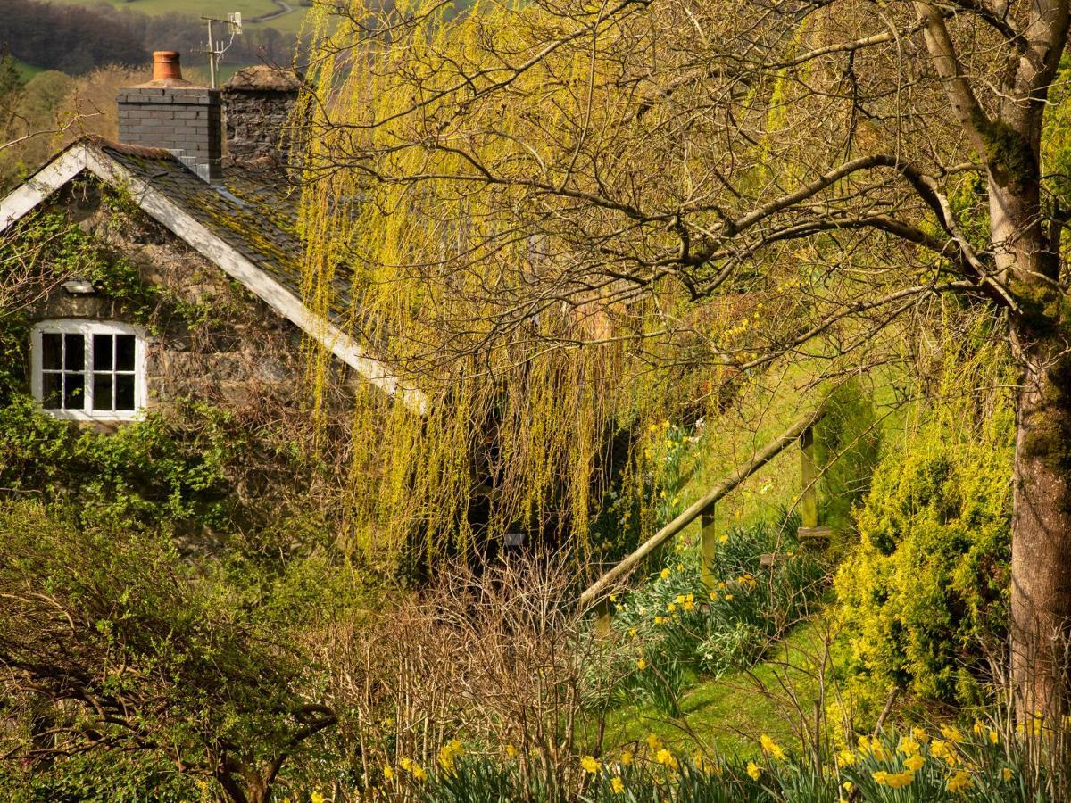 Dolgenau Cottages Trefeglwys Extérieur photo