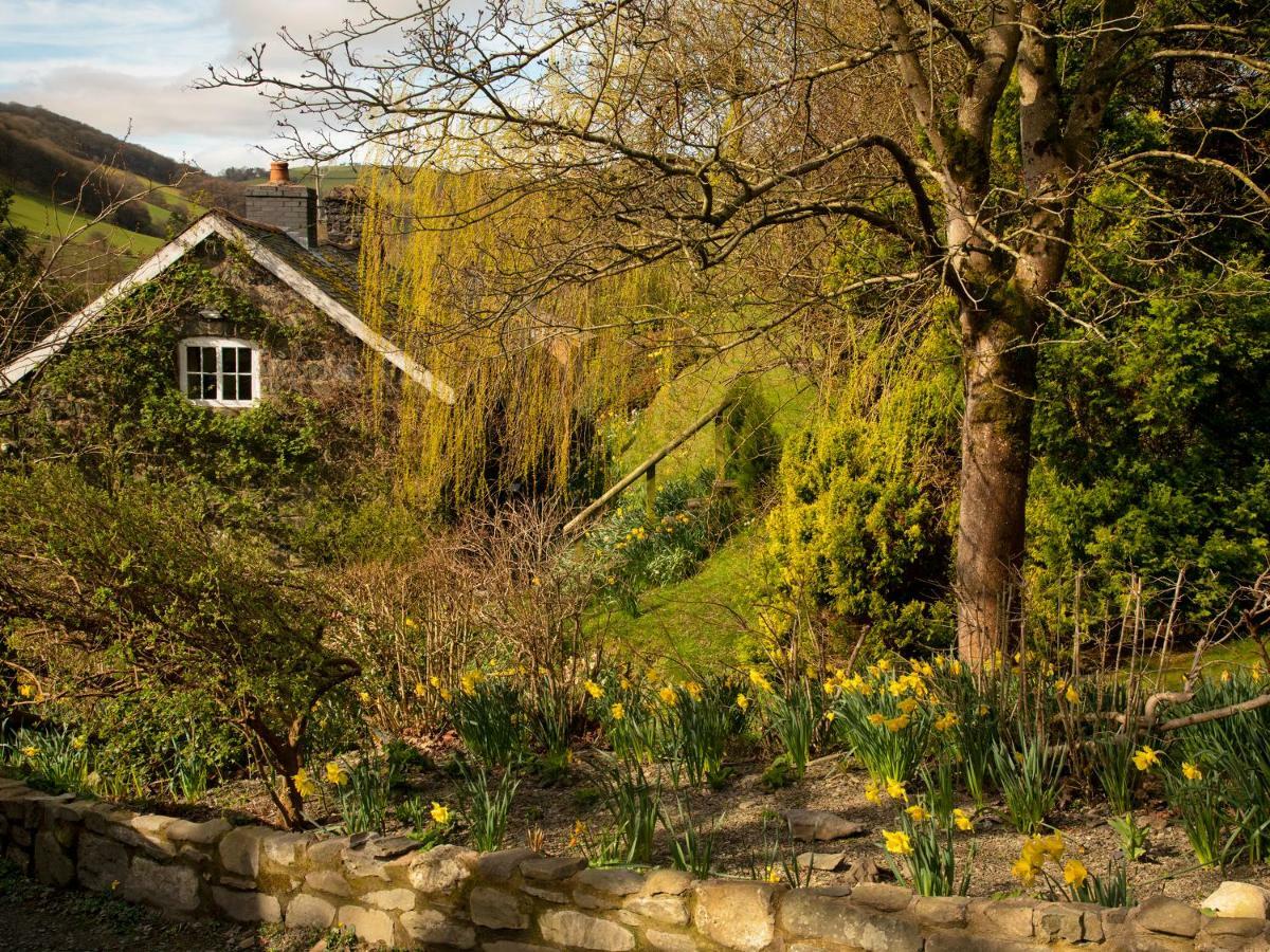 Dolgenau Cottages Trefeglwys Extérieur photo